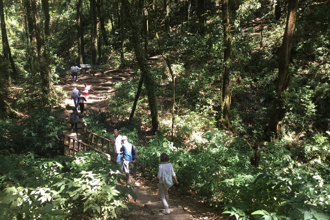 Inthanon Small-Group with Kew Mae Pan Trail from Chiang Mai include Lunch - Doi Inthanon From Chiang Mai, the “Good Day” Version