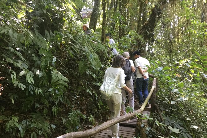 Inthanon Small-Group with Kew Mae Pan Trail from Chiang Mai include Lunch - The Royal Agricultural Project: Gardens, Nursery, Fish Pond, Lunch
