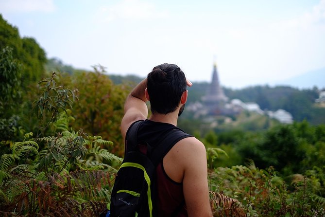 Inthanon Small-Group with Kew Mae Pan Trail from Chiang Mai include Lunch - Kew Mae Pan Nature Trail: 3 Km Through Three Forest Types