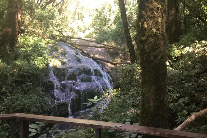 Inthanon Small-Group with Kew Mae Pan Trail from Chiang Mai include Lunch - Price and Value: What $113.39 Covers in a Small-Group Day