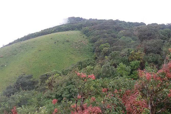 Inthanon Small-Group with Kew Mae Pan Trail from Chiang Mai include Lunch - Wachirathan Waterfall, Then Mae Klang Luang Village Life