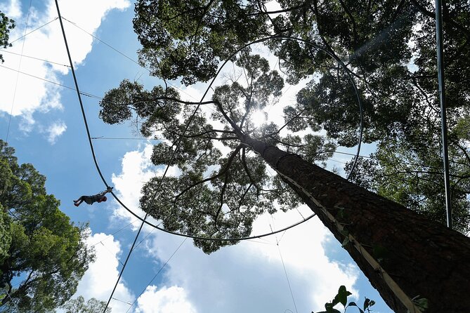 Jungle Flight Zipline Adventure From Chiang Mai - Sky Walk and Ancient Trees: Slower, Smarter, and Different