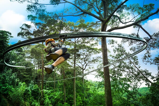 Jungle Flight Zipline Roller Coaster - Jungle Flight Key Takeaways