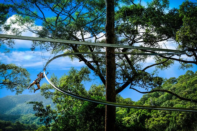 Jungle Flight Zipline Roller Coaster - The 1000-Year Forest Start: Gear Up and Get Safe Fast