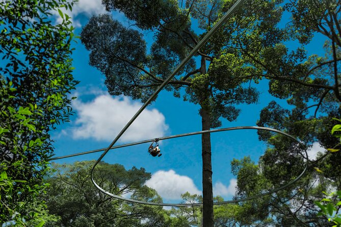 Jungle Flight Zipline Roller Coaster - Over 2 Hours of Ziplining: What the Run Feels Like