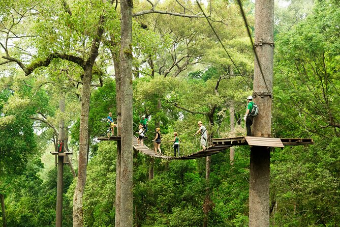 Jungle Flight Zipline Roller Coaster - Getting From Chiang Mai to the Jungle Flight Base