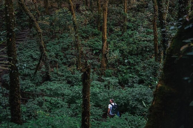 Jungle Wisdom Survival Trek - Day 2 in Mae Wang National Park: Karen Village Living