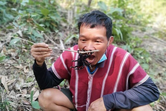 Jungle Wisdom Survival Trek - What Survival Training Actually Covers (and Why It Matters)