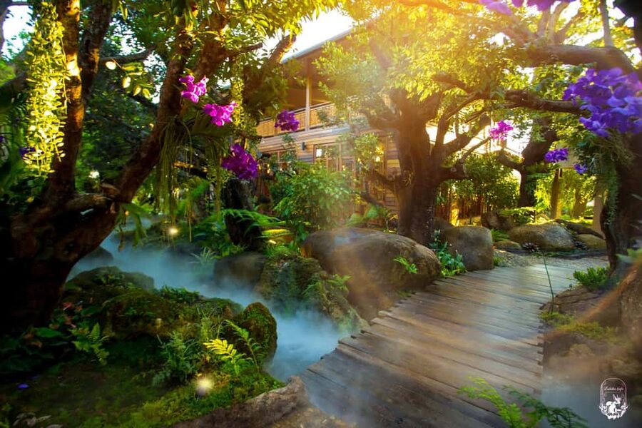Lalita Cafe & Chiang Rai Temple(White+Blue) from Chiangmai - Quick hits before you go