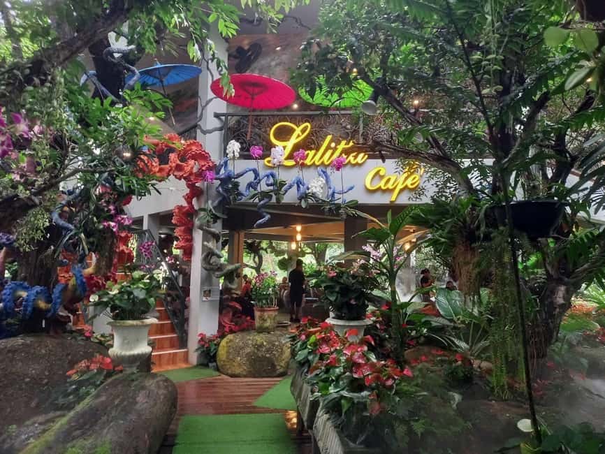 Lalita Cafe & Chiang Rai Temple(White+Blue) from Chiangmai - Price and what you actually get for $51