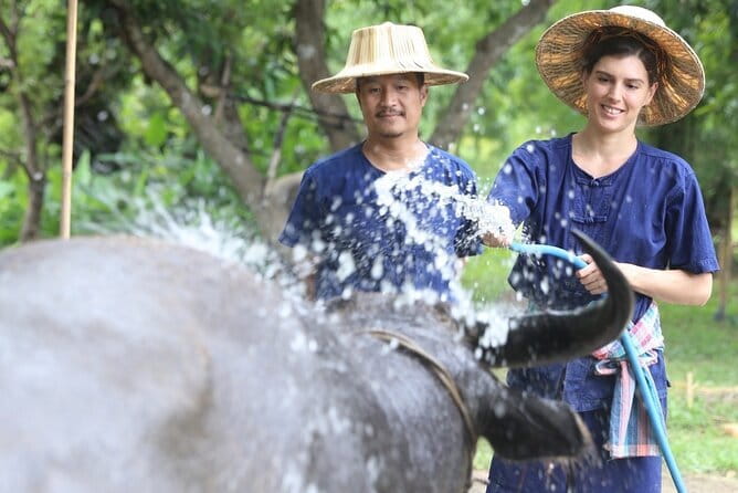 Local Farming Experience in Chiang Mai, Thailand - Hang Tueng Farm meeting point and the small-group setup