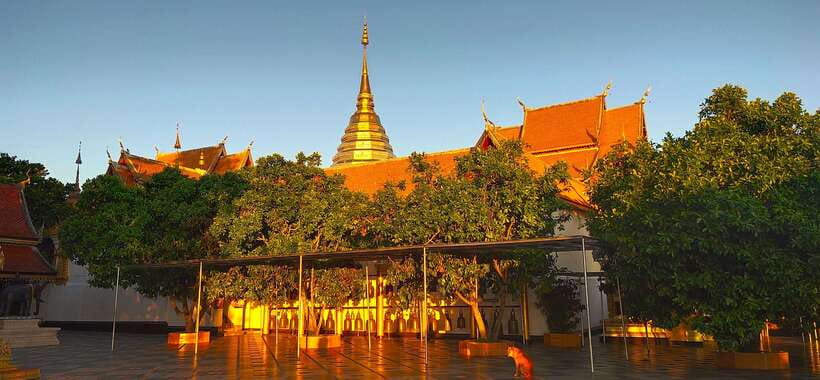 Monk trails hike, Wat Phalat, Monk chanting, Wat Doi Suthep. - What to Bring, Plus Who Should Skip This One