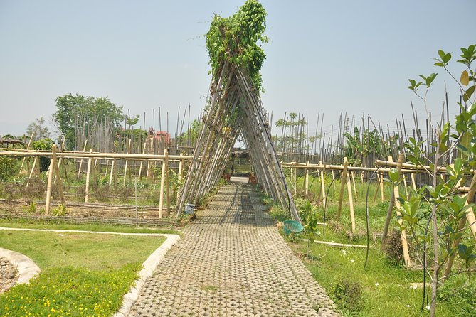 Morning Cooking Class in Organic Farm with Local Market Tour - Who Should Book This, and Who Should Skip It