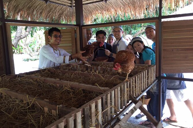 Morning Cooking Class in Traditional Pavilion with Beautiful Garden - Chiang Mai - What you actually cook: 3 dishes plus a dessert you’ll want to remember