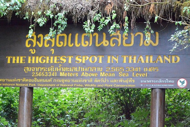Mount Doi Inthanon Hiking & Bird Watching - Mountain forest walking, plus the waterfall and farm stops