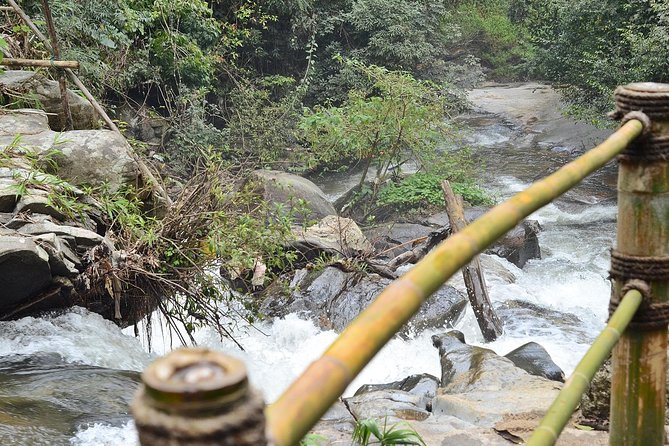 Mount Doi Inthanon Hiking & Bird Watching - Price and value: what $152.50 covers