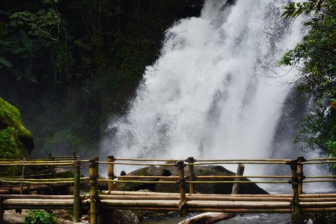 Mount Doi Inthanon Hiking & Bird Watching - Weather reality: windy and wet can change bird activity