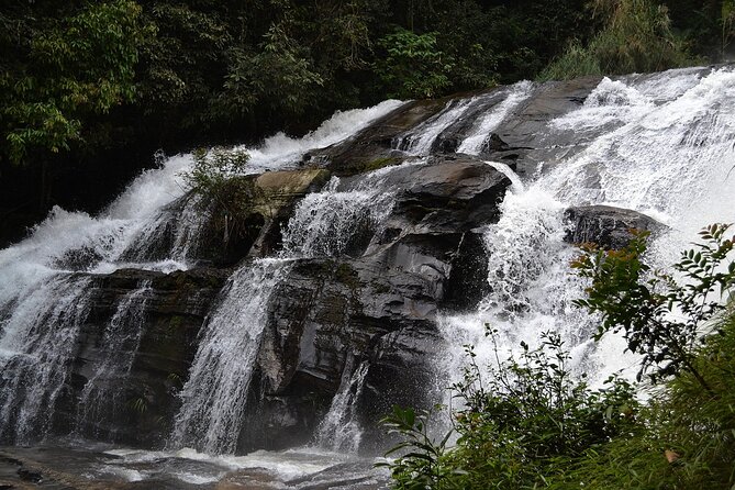 Mount Doi Inthanon National Park Sunrise and Hiking - Price and Value: Is $126.51 a Good Deal for This Day?