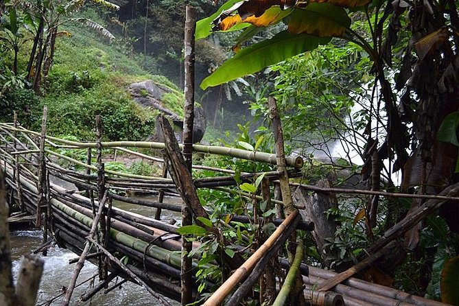 Mount Doi Inthanon National Park Sunrise and Hiking - Pha Dok Seaw Waterfall Nature Trail: Water, Rice, Wildlife, and Coffee