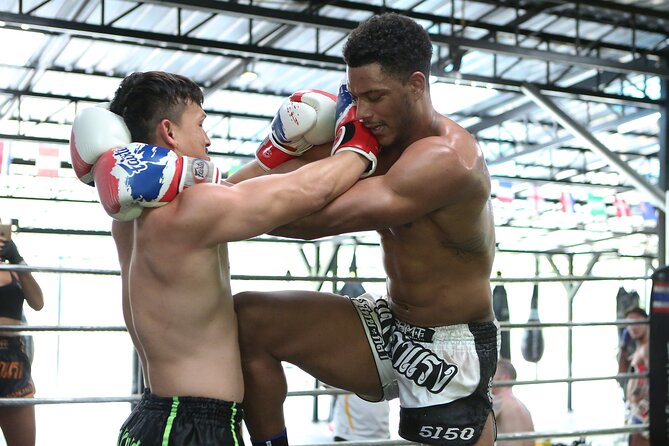 Muay Thai Experience - 1/2 Day - Rice-Field Training at Gym Bangarang, Not a Photo Op
