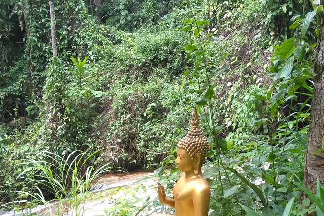 No.1 Chiang Mai: 3-Hour Monk Trail Hike to Wat Doi Suthep & Palad - Lunch at Altitude and Hydration That Makes the Day Work