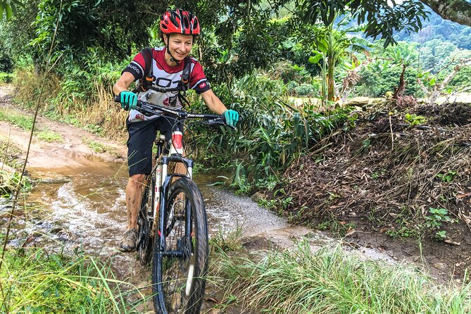 No.1 Chiang Mai: Advanced Downhill Mountain Biking, Suthep N.Park - From Doi Pui summit to forest singletrack: what the riding feels like