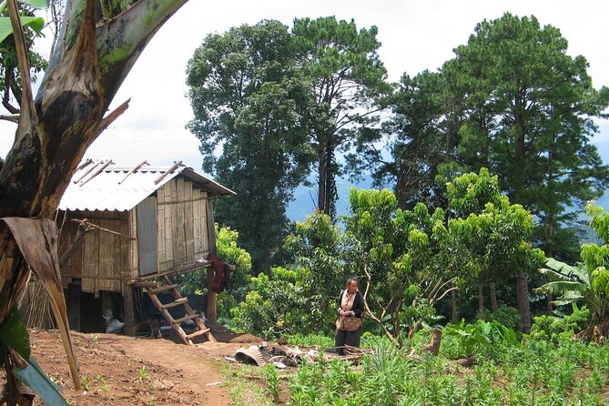 No.1 Chiang Mai: Advanced Downhill Mountain Biking, Suthep N.Park - Lake Huay Tueng Thao: the part you will thank yourself for