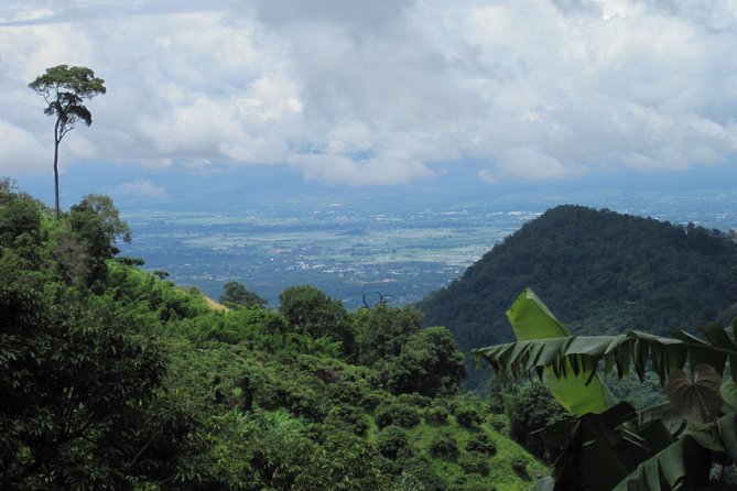 No.1 Chiang Mai: Advanced Downhill Mountain Biking, Suthep N.Park - Bikes, safety gear, hydration, and the support that keeps this ride sane