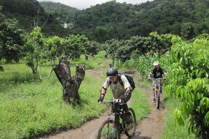 No.1 Chiang Mai: Advanced XC Downhill Biking, Doi Suthep N. Park - What makes the Doi Pui to Doi Suthep ride special
