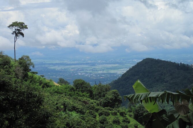 No.1 Chiang Mai: Advanced XC Downhill Biking, Doi Suthep N. Park - Coffee in the forest plantation, and how to use the break