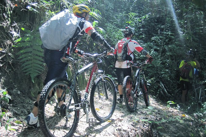 No.1 Chiang Mai: Advanced XC Downhill Biking, Doi Suthep N. Park - The Doi Pui summit views, Wat Doi Suthep, and Bhubing Palace