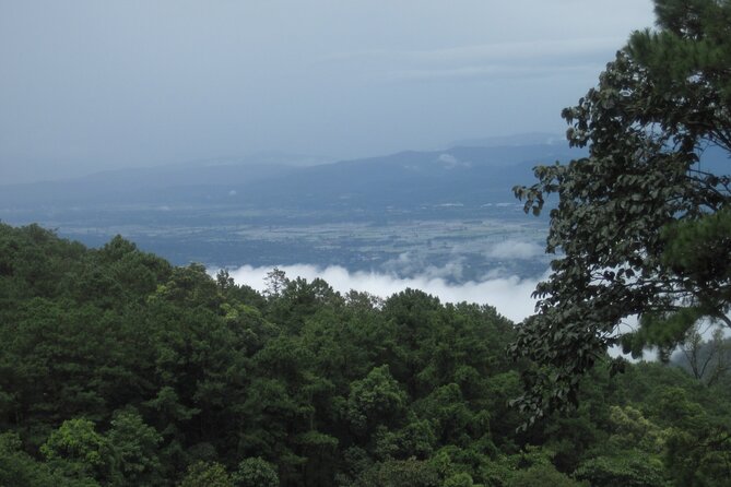 No.1 Chiang Mai: Advanced XC Downhill Biking, Doi Suthep N. Park - Price and value: what you really pay for