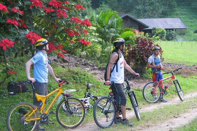 No.1 Chiang Mai: Advanced XC Downhill Biking, Doi Suthep N. Park - Who should book this ride, and who should skip it