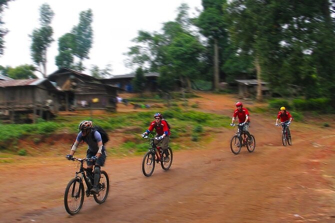 No.1 Chiang Mai: Epic Doi Suthep Downhill MTB Adventure - Up to Doi Suthep-Pui National Park: the drive, the altitude feel, and the first hit