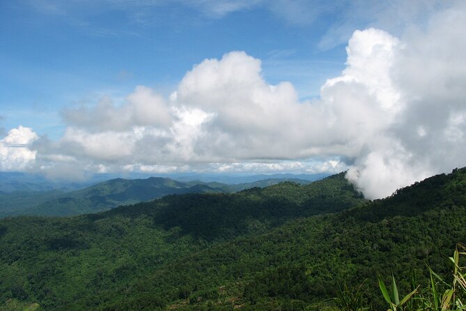 No.1 Chiang Mai: Epic Doi Suthep Downhill MTB Adventure - Price and what you actually pay: $74.97 plus a park fee