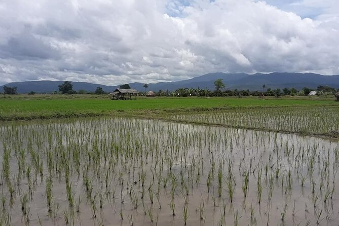 "No.1 Chiang Mai: Leisure Bicycle Ride to Lake Huay Tueng Tao" - Huai Tueng Thao and Mt Suthep’s base, in one half-day ride
