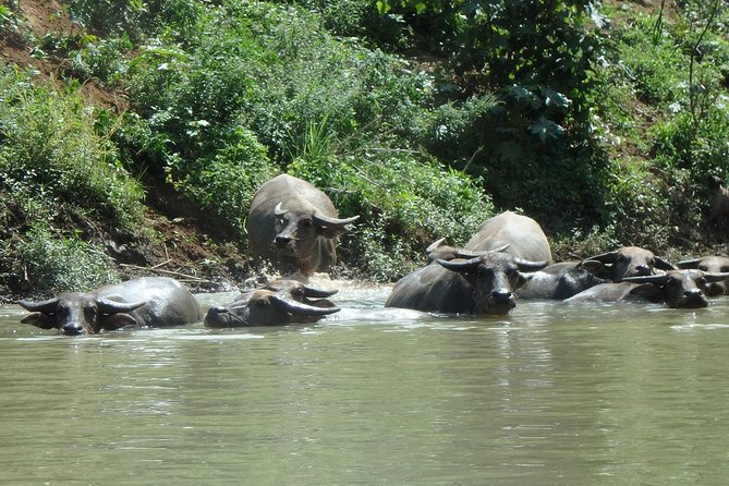 No.1 Chiang Mai: Leisure River Kayaking: Mae Taeng forest Reserve - Boats, gear, and the support truck system that makes it easier