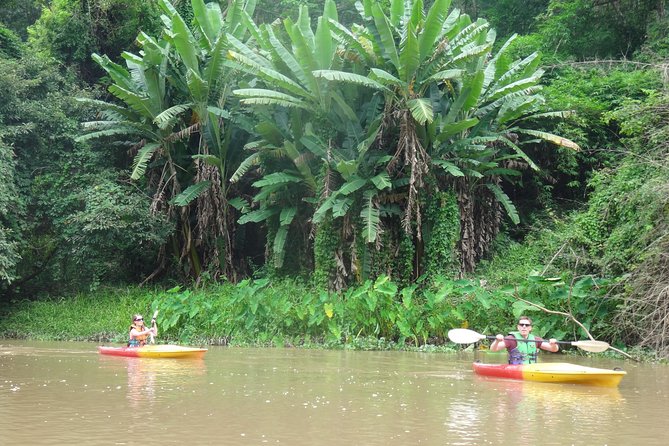 No.1 Chiang Mai: Leisure River Kayaking: Mae Taeng forest Reserve - Transportation and timing, what your day actually feels like