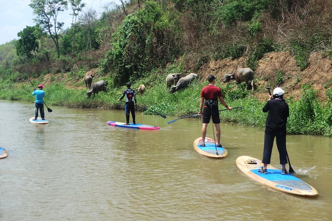 No.1 Chiang Mai: Stand Up Paddle Board through Mae Taeng Forest - Price and value: what $71.98 buys you for a half-day river outing