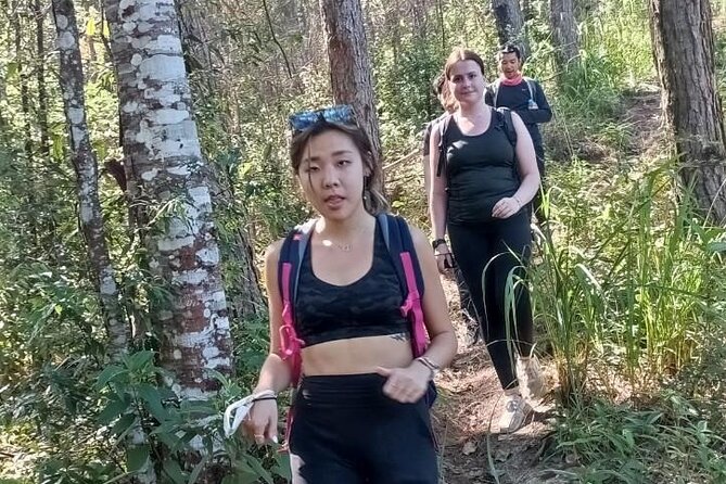 "No.1 Chiang Mai: Suthep N. Park Leisure walks & Mountain Biking" - The ride feel: coasting downhill after lunch