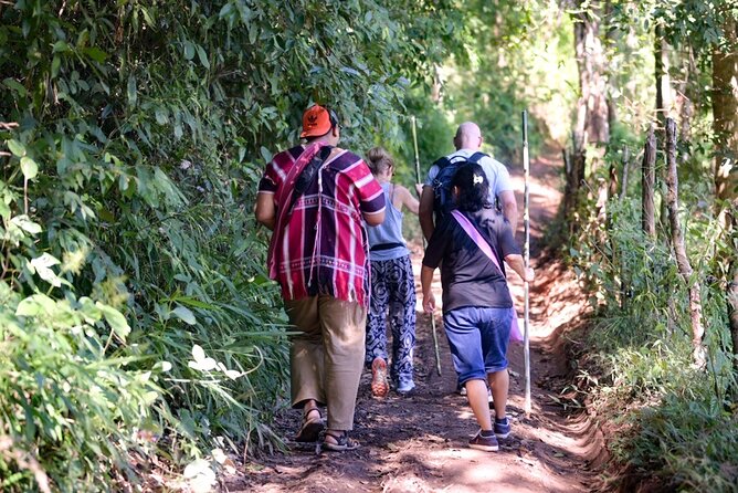 Off the Map Chiang Mai Jungle Coffee Trek Roast and Brew - Off-road into Mae Wang National Park, Karen Highlands included