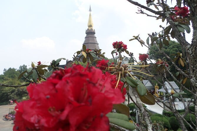 One day Doi Inthanon National Park & Trekking on Kew Mae Pan - Weather, packing, and comfort for November to September