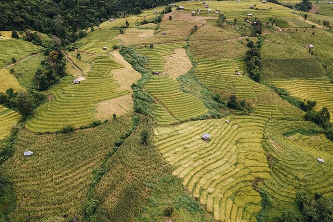 One day Doi Inthanon & Trekking at Pha Dok Siew - Doi Inthanon summit time: the highest point, the gardens, and why it matters