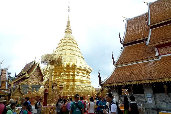 One Day Tour Doi Suthep Temple, Palad Temple, Orchid Farm, Longneck hill tribe village (Private tour) - How this private Chiang Mai tour saves you time and hassle