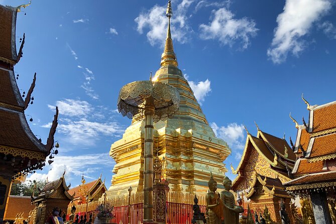 One Day Tour Doi Suthep Temple, Palad Temple, Orchid Farm, Longneck hill tribe village (Private tour) - Bai Orchid and Butterfly Farm: a scenic reset in the middle of the day