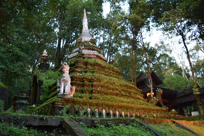 One Day Tour Doi Suthep Temple, Palad Temple, Orchid Farm, Longneck hill tribe village (Private tour) - Lunch of Khao Soi and the rhythm of a 7 to 8 hour day