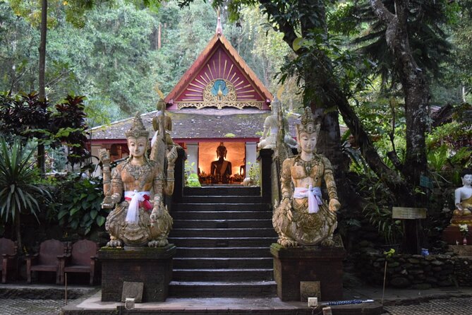 One Day Tour Doi Suthep Temple, Palad Temple, Orchid Farm, Longneck hill tribe village (Private tour) - Driver and guide details that make the day feel smooth
