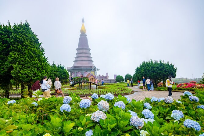 Pha Dok Siew Nature Trail & Doi Inthanon National Park From Chiang Mai - Pha Dok Siew Nature Trail: A Two-Hour Walk With Real Forest Learning