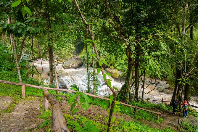 Pha Dok Siew Nature Trail & Doi Inthanon National Park From Chiang Mai - The King and Queen Pagodas: Stunning Views With a Real Dress Code