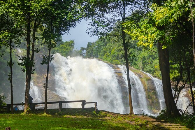 Pha Dok Siew Nature Trail & Doi Inthanon National Park From Chiang Mai - How the Day Feels in Real Life: Timing, Walking, and Weather